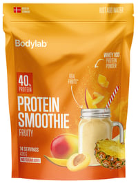 Bodylab Protein Smoothie Fruity 420g