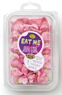 Spiselig Blomst Drageblomst 8pk