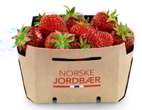 Jordbær Norsk kurv 500g