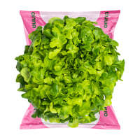 Mighty Green Oak Stor Hode Onna