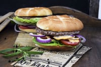 Halalburger 99% 100g X 72stk