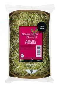Alfaspirer Økologisk 100g