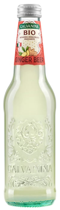Ginger Beer Øko 355ml Galvanina