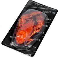 Hummer Kokt 450g Fiskeriet