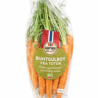Buntgulrot fra Toten