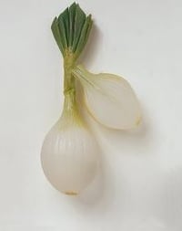 Salatløk 350g Filmet Gartner