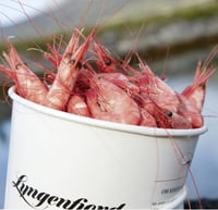 Reker Ferske m/Skall 90/120 750g Lyngenfjord