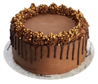 Dripcake Jacobs Sjoko/Br.Bær 15 Biter Fryst