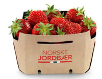 Jordbær Norsk kurv 500g