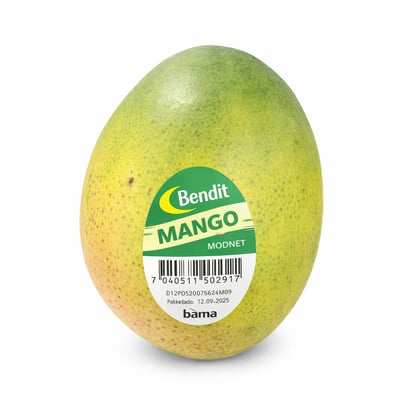 Bendit MANGO MODNET