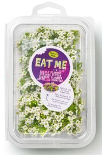 Spiselig Blomst Alyssum 8pk