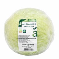 Änglamark Økologisk Isbergsalat