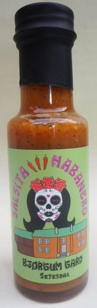 Salsita Habanero 132g Bjørgum Gard