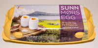 Sunnmørsegg Frittgående M/L 10stk