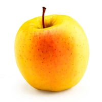 Epler Golden Delicious