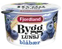 Bygglunsj Blåbær 150g Fjordland