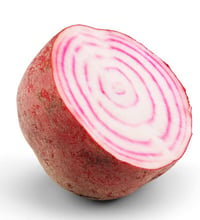 Chioggiabeter Kg