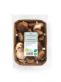 Shitake Sopp 100g Økologisk