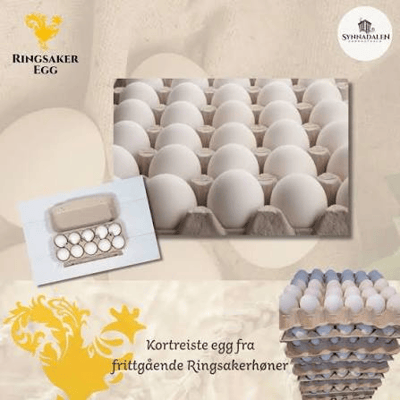Egg Frittgående 20 Pk m Ringsaker Egg