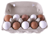 Bakketun Egg 10pk 673g