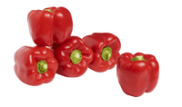 Rød Paprika 70+