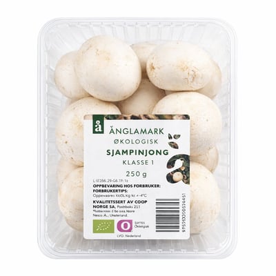 Økologisk sjampinjong klasse 1