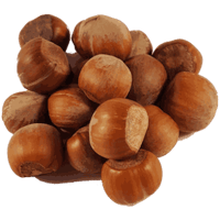 Hasselnøtter Med Skall Kg