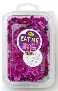 Spiselig Blomst Hagenellik Lilla