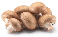 Sopp Aroma Champignon løsvekt