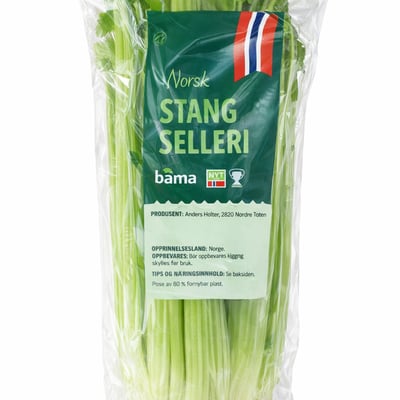 Norsk stangselleri