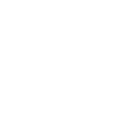 TikTok Icon
