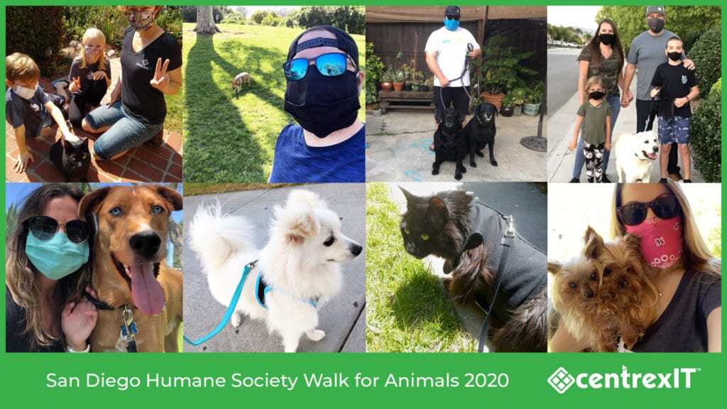 centrexIT employees participate in the San Diego Humane Society Virtual Walk for Animals