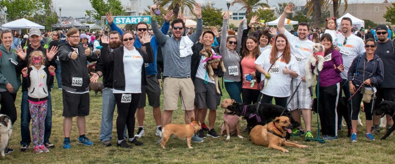 centrexIT Partners with San Diego Humane Society’s Walk for Animals
