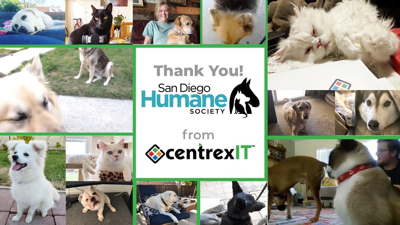 San Diego Humane Society Virtual Walk for Animals