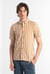 Short Sleeve Stripe Jersey Shirt