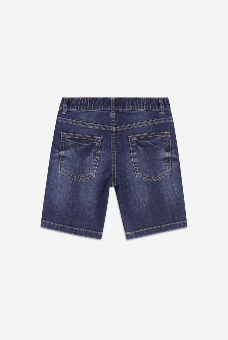 Boys Regular Fit Denim Shorts (3yrs-9yrs)