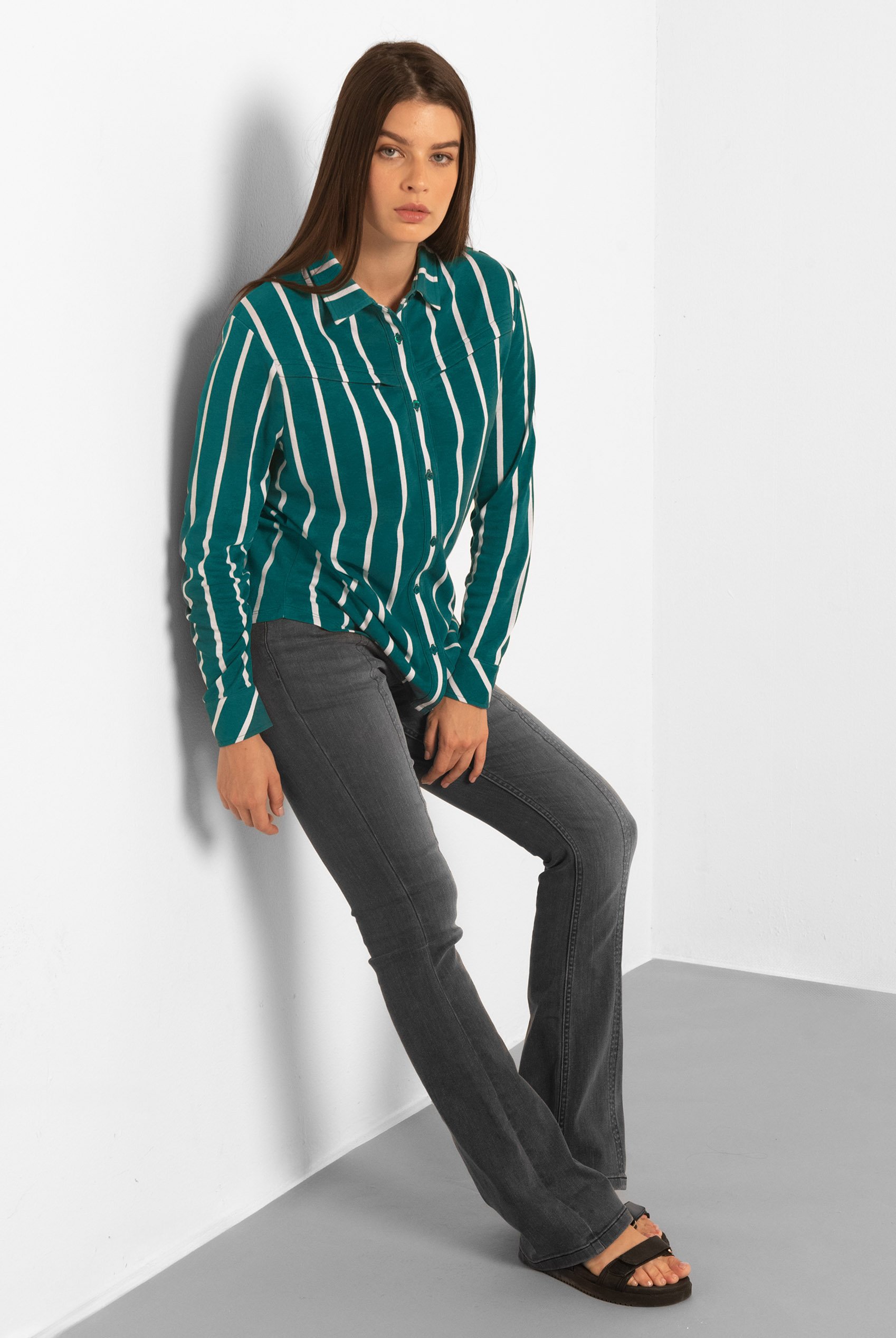 Long Sleeve Striped Smart Shirt