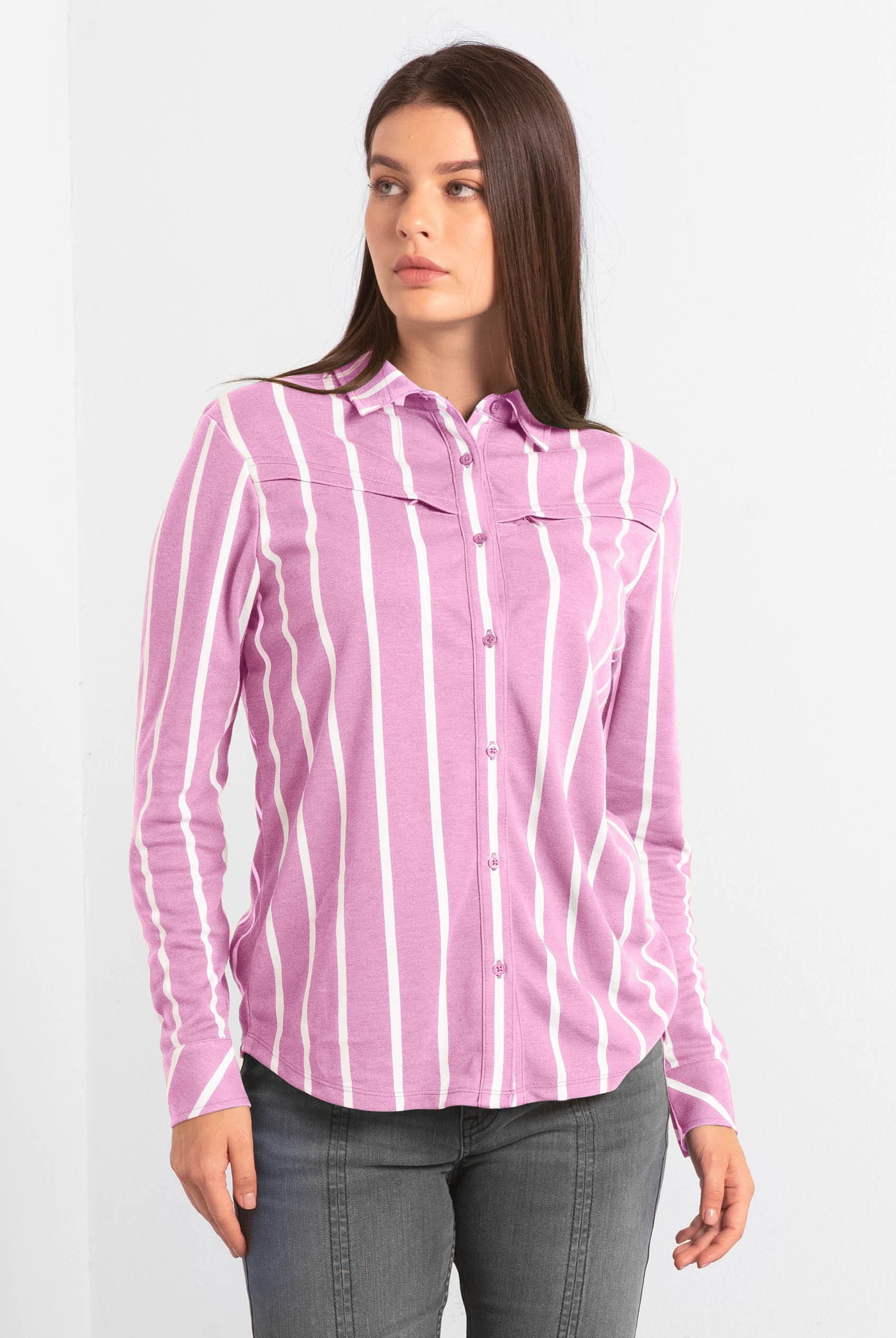 Long Sleeve Striped Smart Shirt