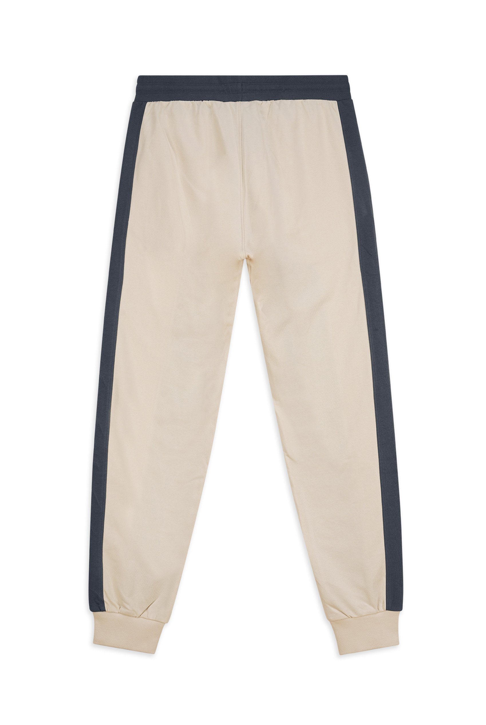 Mens Terry Colourblock Jogger