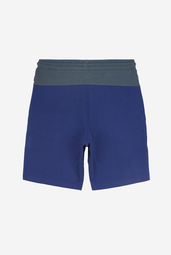 Mens Colour Block Shorts