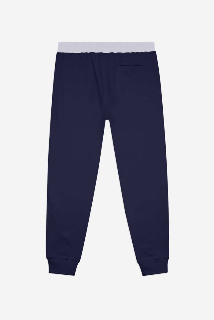 Mens Brushed Terry Jogger With Cut And Sew Waistband