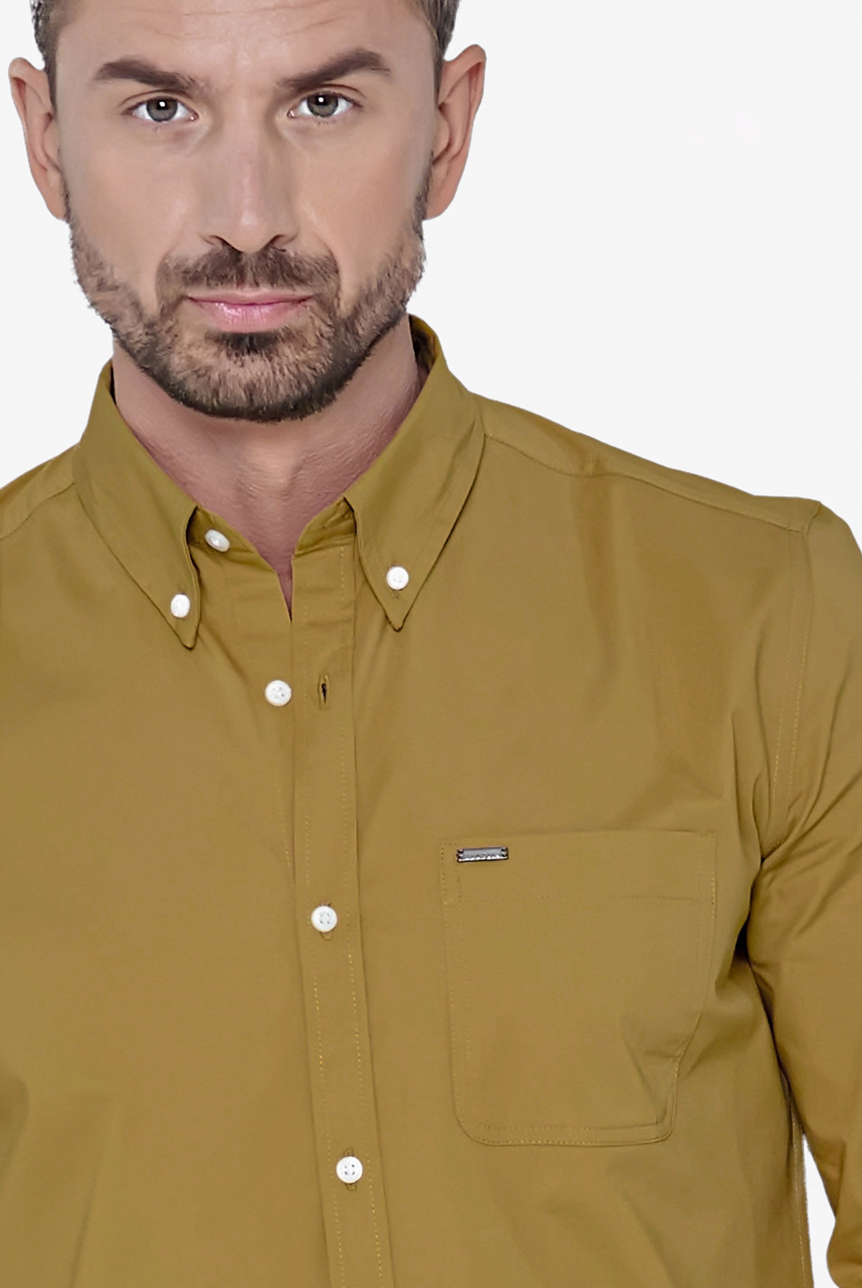 Solid Long Sleeve Regular Fit Shirt