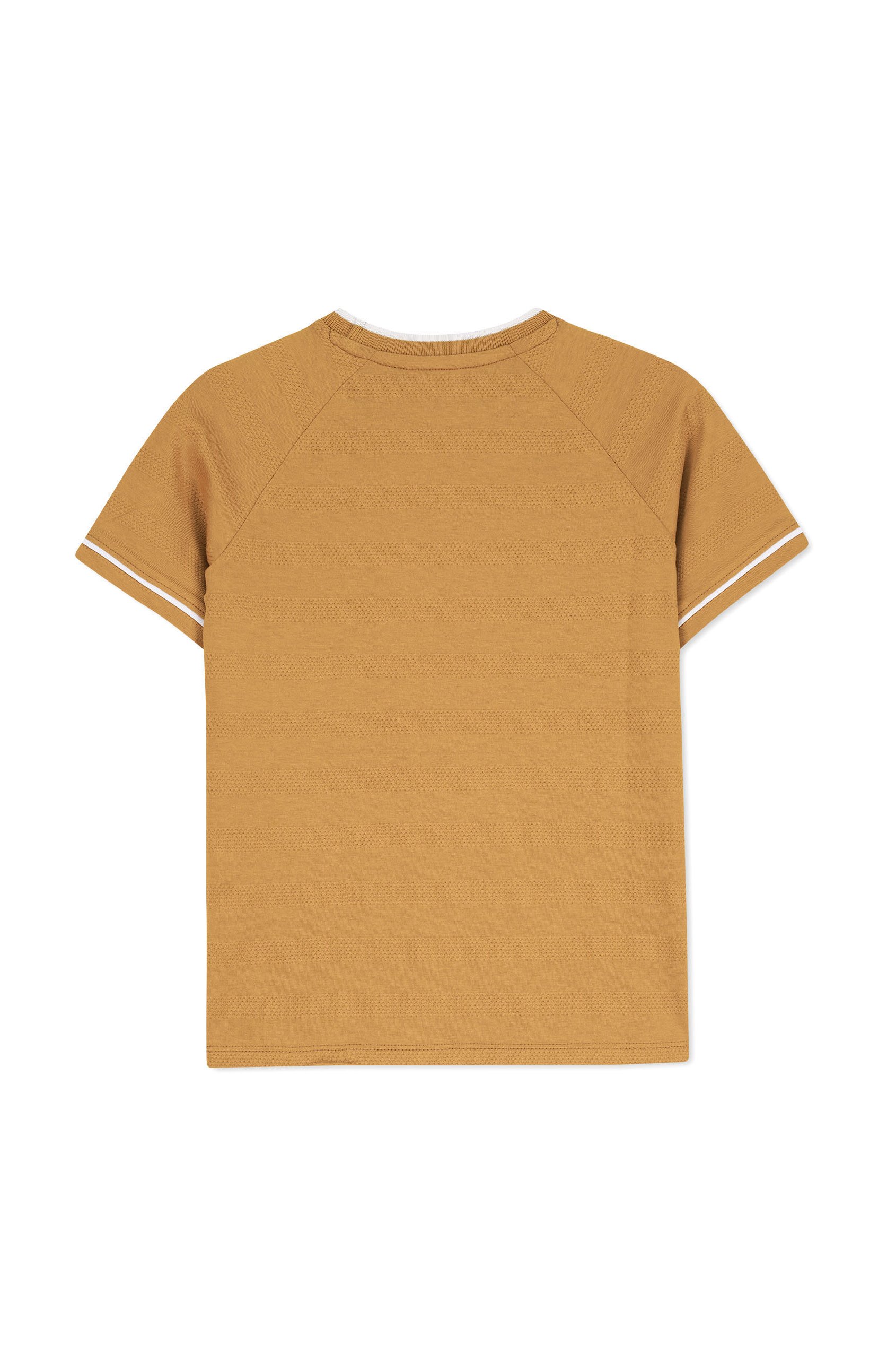 Boys Funny Bear Raglan T-shirt (3yrs-9yrs)