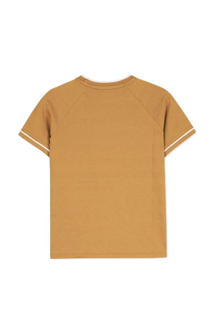 Boys Funny Bear Raglan T-shirt (3yrs-9yrs)