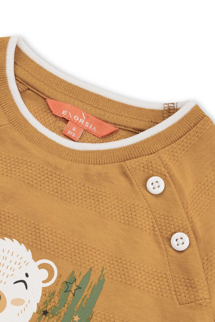 Boys Funny Bear Raglan T-shirt (3yrs-9yrs)