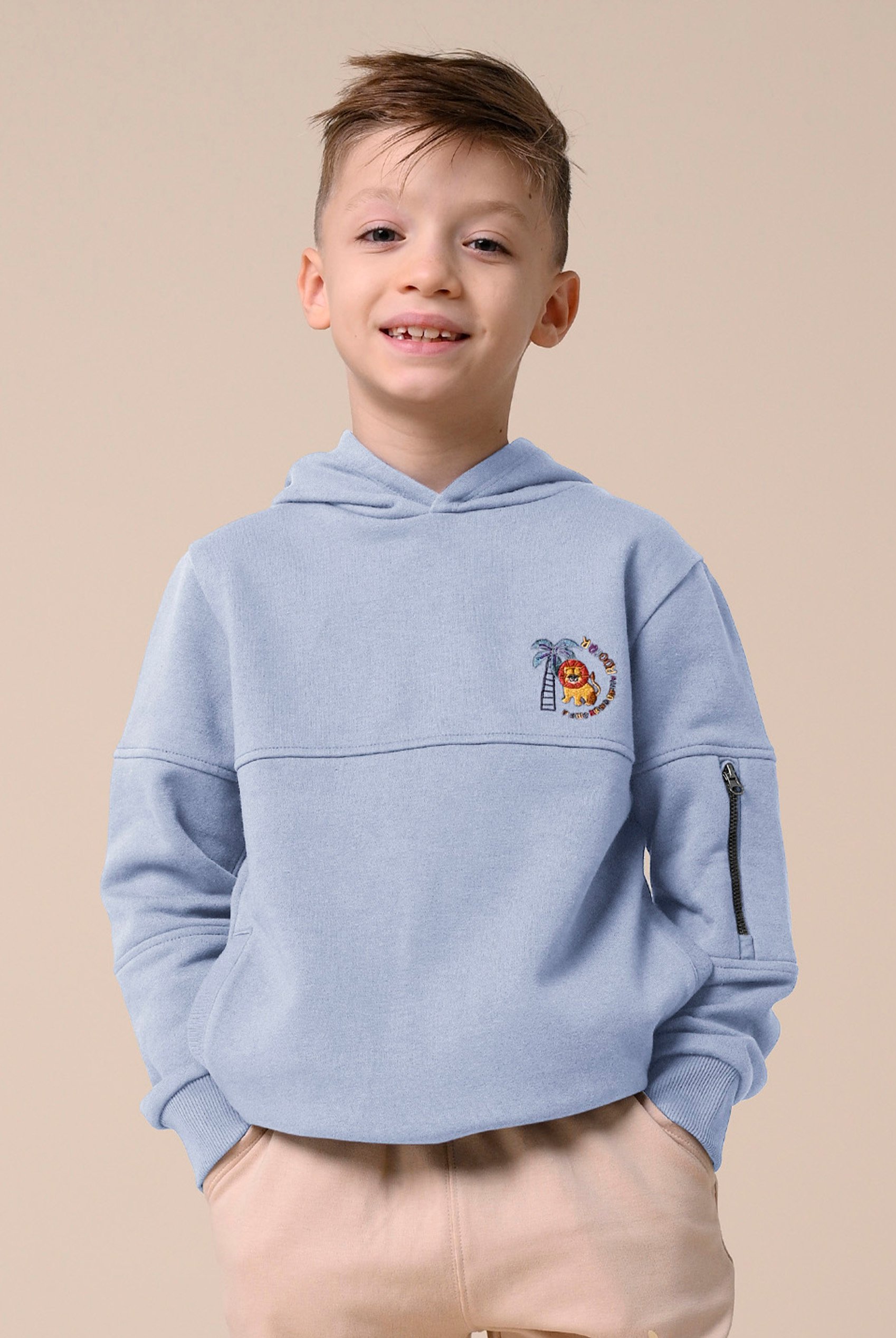 Boys  Embrodiery Print Hoodie  ( 6yrs-11yrs)