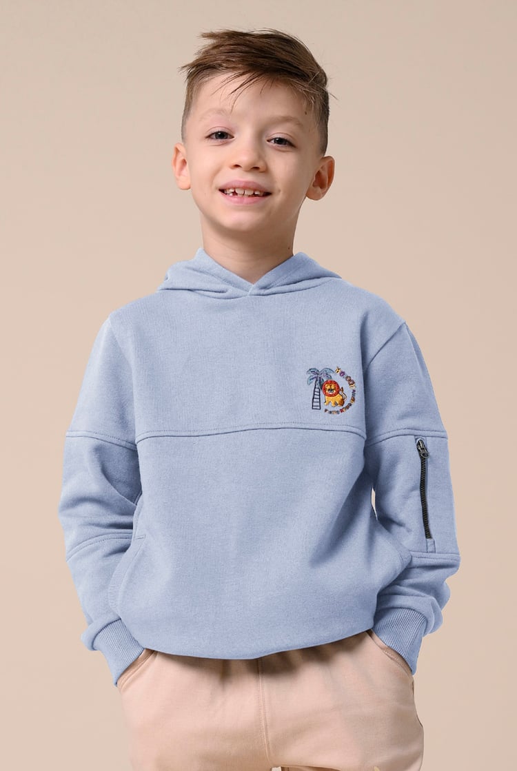 Boys  Embrodiery Print Hoodie  ( 6yrs-11yrs)
