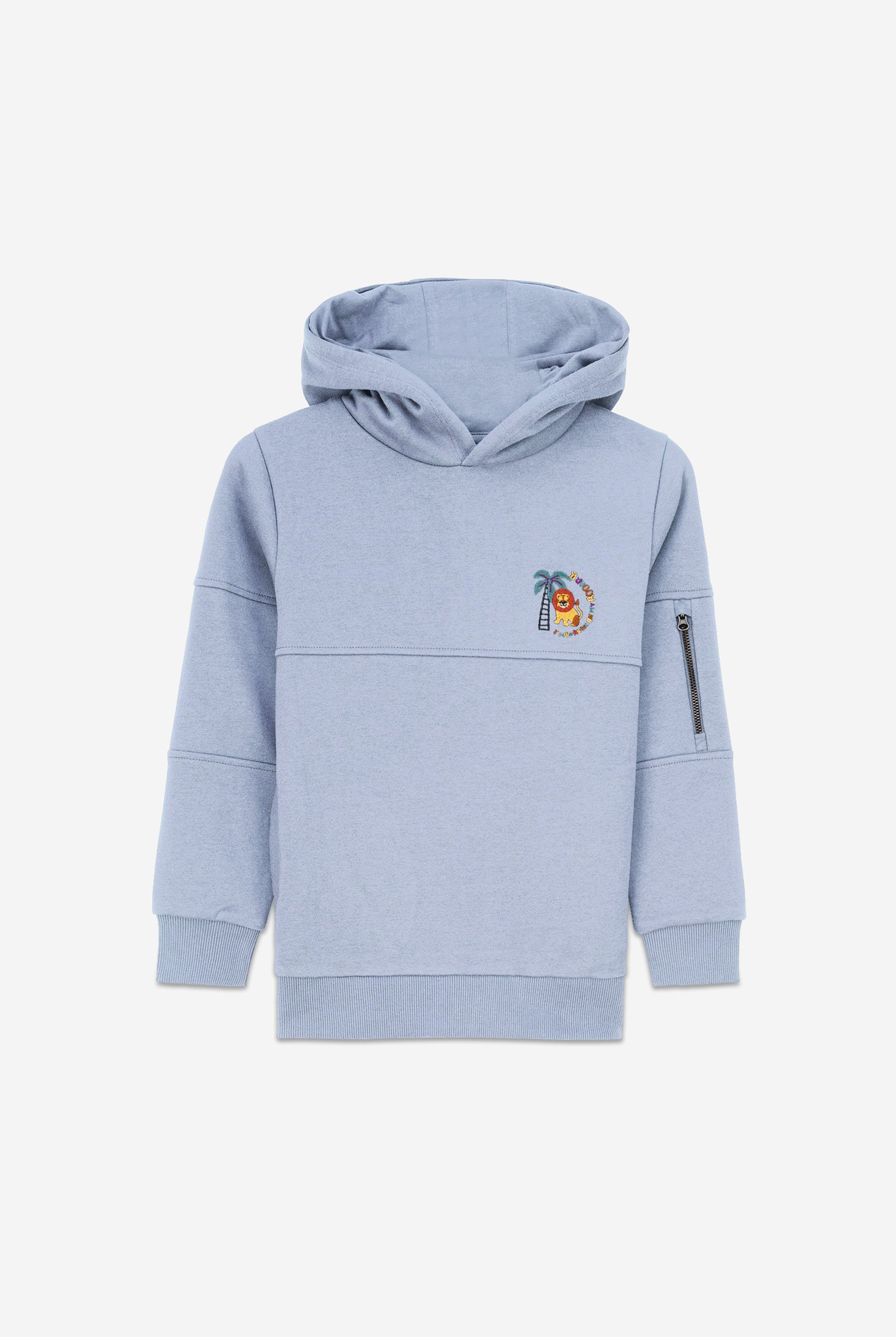 Boys  Embrodiery Print Hoodie  ( 6yrs-11yrs)