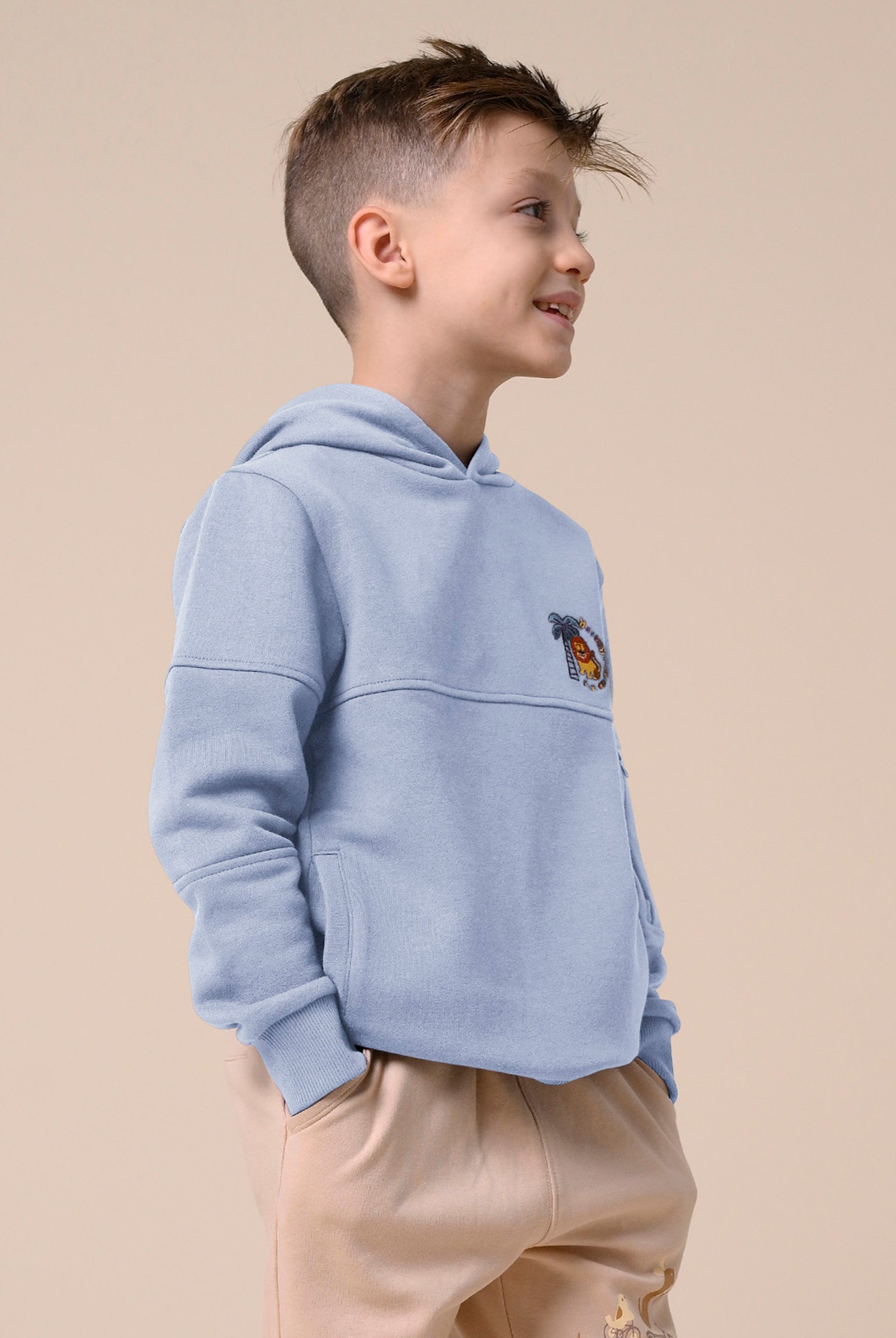 Boys  Embrodiery Print Hoodie  ( 6yrs-11yrs)