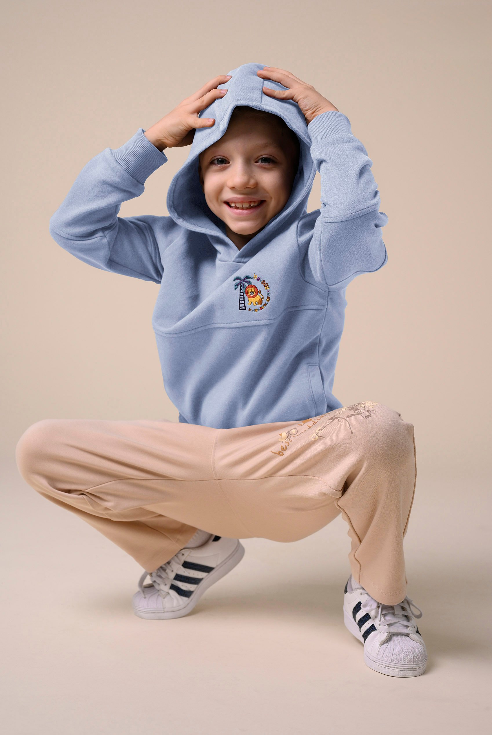 Boys  Embrodiery Print Hoodie  ( 6yrs-11yrs)